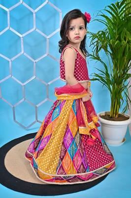 Multicolor Lehenga Pink Choli 3