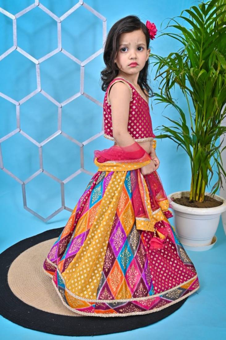 Multicolor Lehenga Pink Choli
