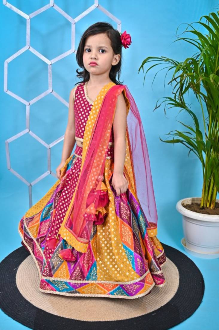 Multicolor Lehenga Pink Choli