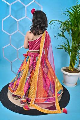 Multicolor Lehenga Pink Choli 5