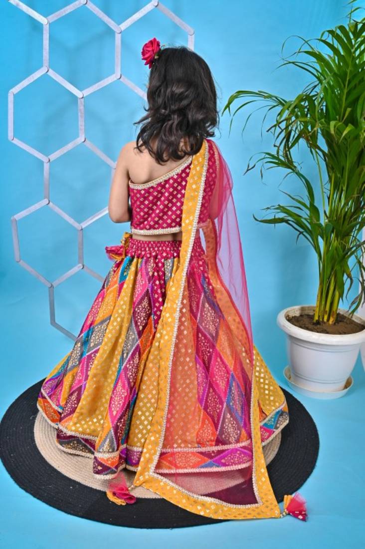 Multicolor Lehenga Pink Choli