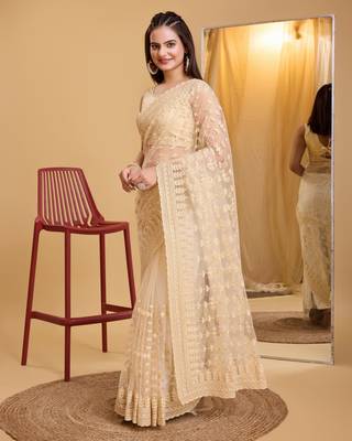 Chikoo  soft net sarree with plain blouse piece 2