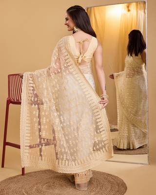 Chikoo  soft net sarree with plain blouse piece 3