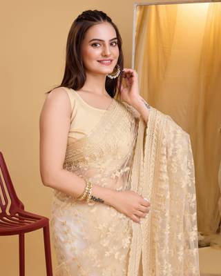 Chikoo  soft net sarree with plain blouse piece 4