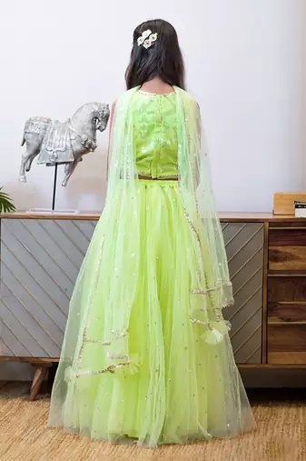 Green boti net lehenga set