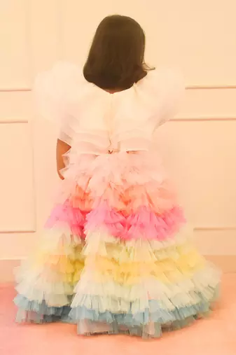 Orgaza crop top with multi colour skirt