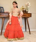 Red crinkle lehenga set