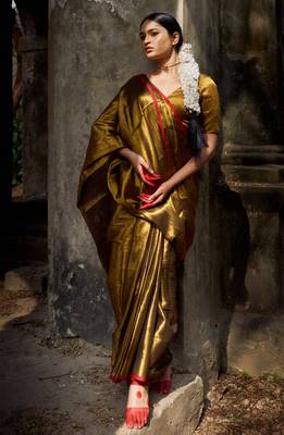 Gold solid  handloom tissue saree with red border 1