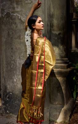 Gold solid  handloom tissue saree with red border 2