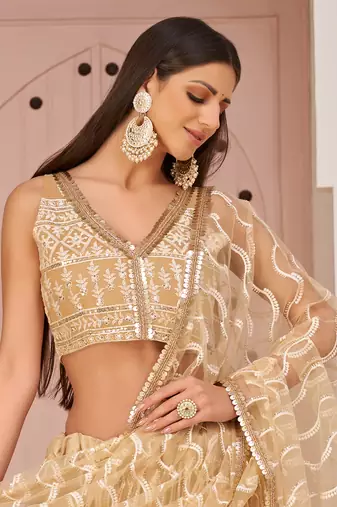 beige thread embroidered butterfly net lehenga set choli with dupatta