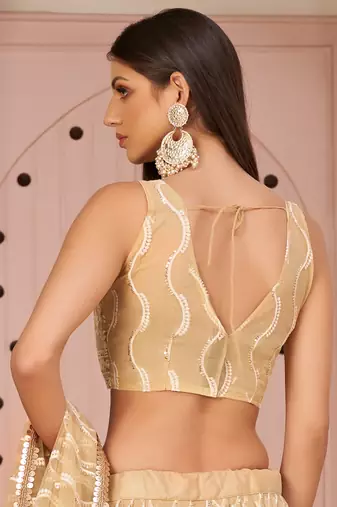 beige thread embroidered butterfly net lehenga set choli with dupatta