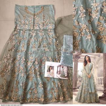 Ice Blue Net Golden Thread Embroidered Anarkali 3