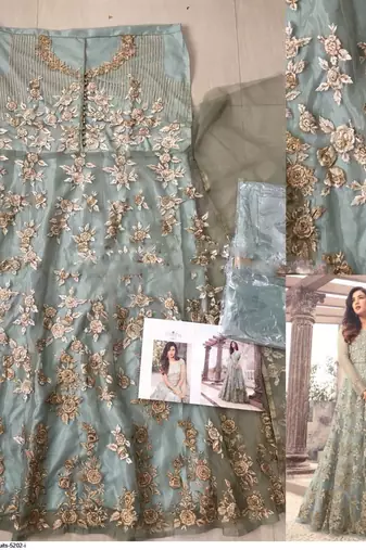 Ice Blue Net Golden Thread Embroidered Anarkali