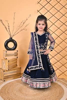 Blue Lehnga Choli 1