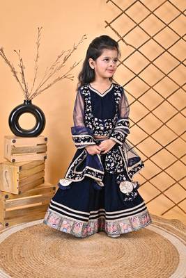 Blue Lehnga Choli 2