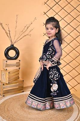 Blue Lehnga Choli 4