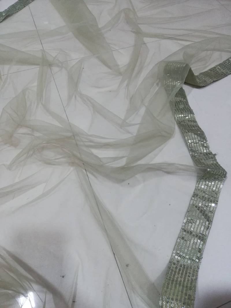 Light Green Thread Embroidered Net Fabric Lehenga choli