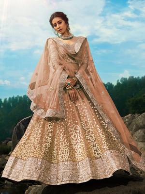 brown zari worked net lehenga set choli with dupatta 2