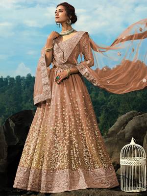 brown zari worked net lehenga set choli with dupatta 3