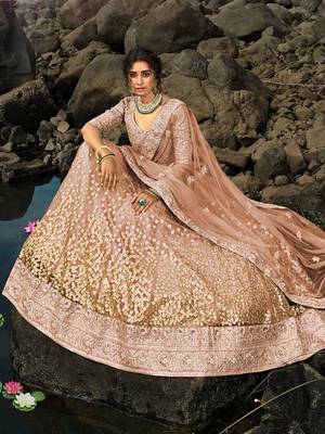 brown zari worked net lehenga set choli with dupatta 4