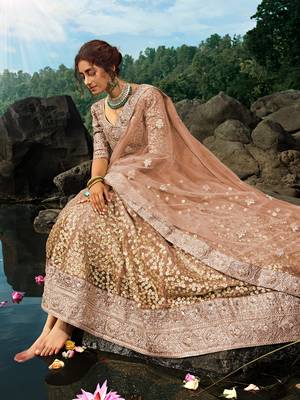 brown zari worked net lehenga set choli with dupatta 5