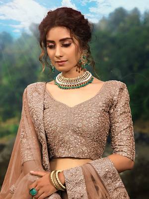 brown zari worked net lehenga set choli with dupatta 6