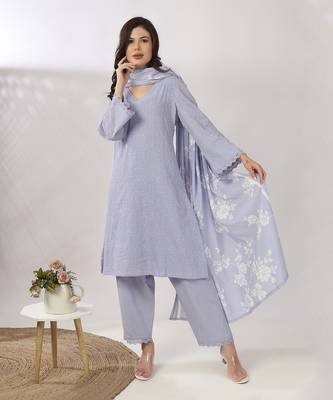 Powder blue embroidered straight kurta set 2