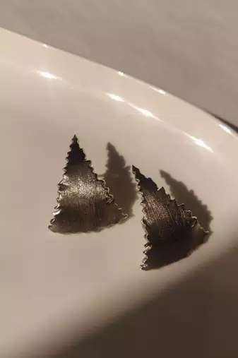 Fit-in earrings