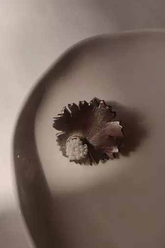Circulas ring