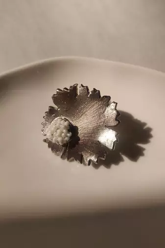 Circulas ring
