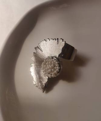 Ample ring 2