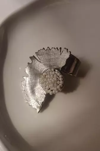 Ample ring