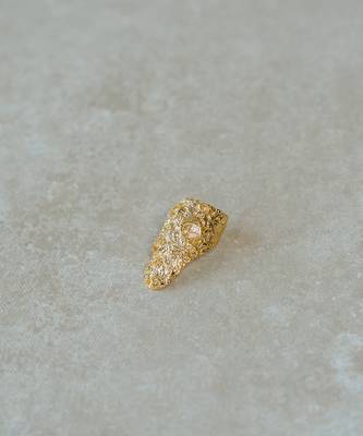 Roshini ring ring 2