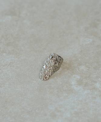 Roshini ring ring 2