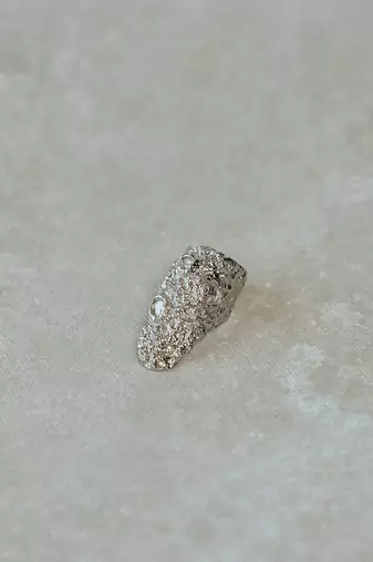 Roshini ring ring