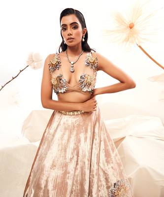 Gold Velvet Embroidery  Lehenga Set 3