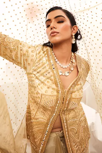 Golden zari embroidered saree