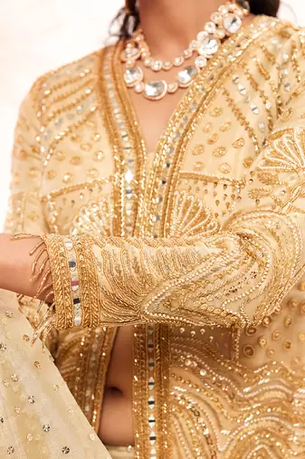 Golden zari embroidered saree