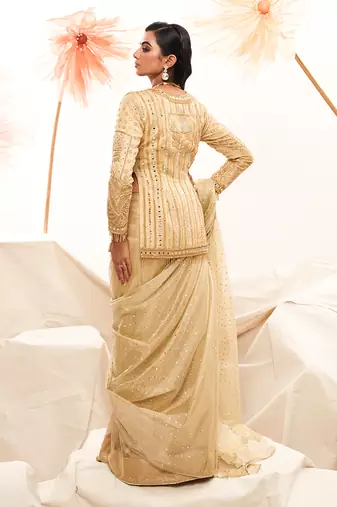 Golden zari embroidered saree