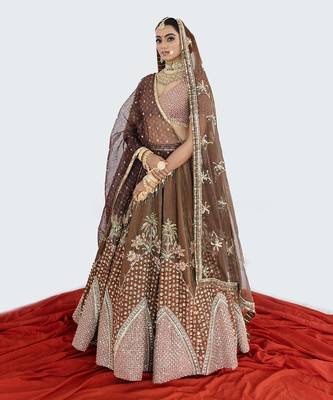 Caramel Brown Velvet Lehenga Set 2