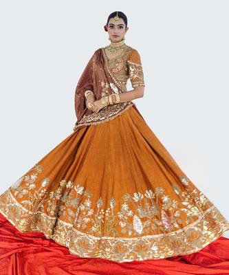 Tawny Brown Raw Silk Lehenga Set 2