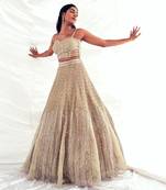 Beige Organza Embroidery Lehenga Set