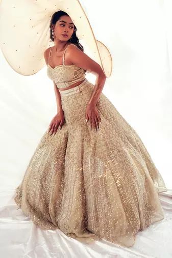 Beige Organza Embroidery Lehenga Set