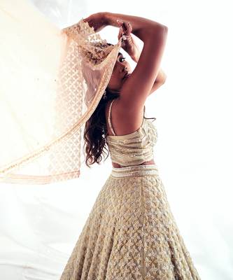 Beige Organza Embroidery Lehenga Set 4