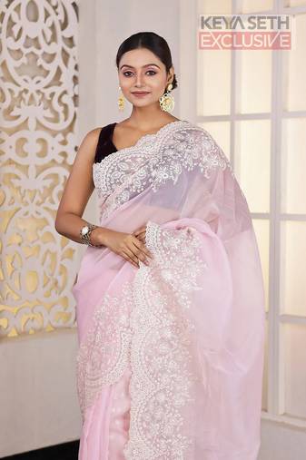 Light Pink Chikankari Organza