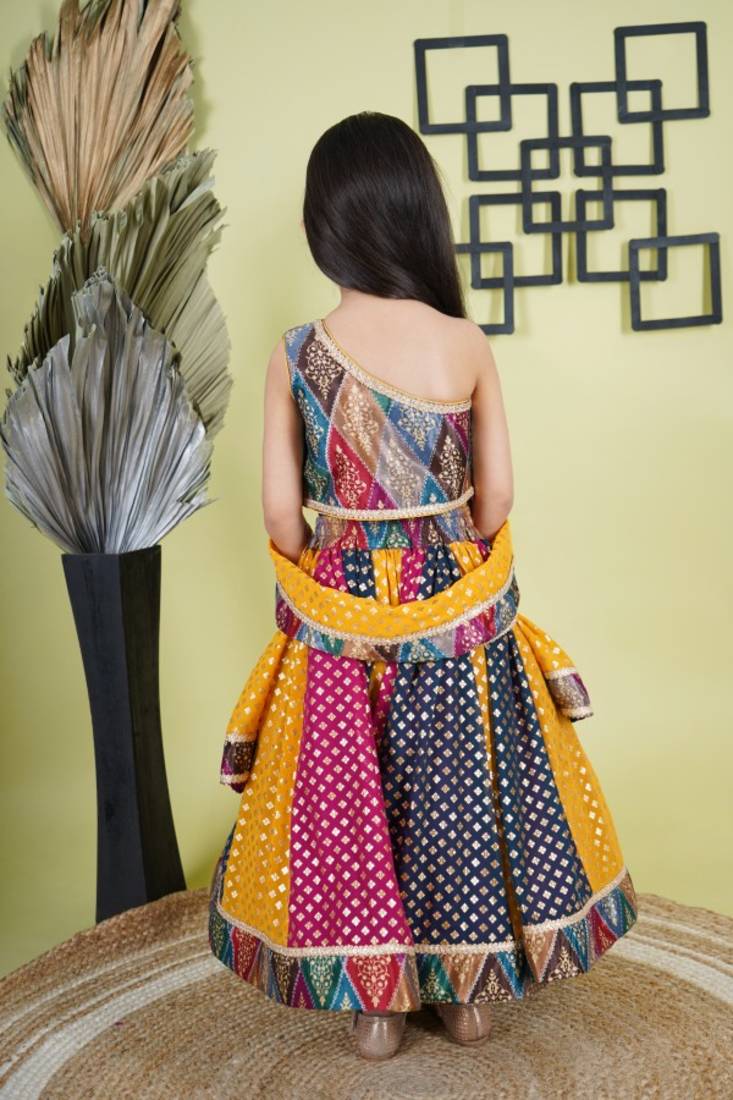 Multicolour Lahnga Choli  