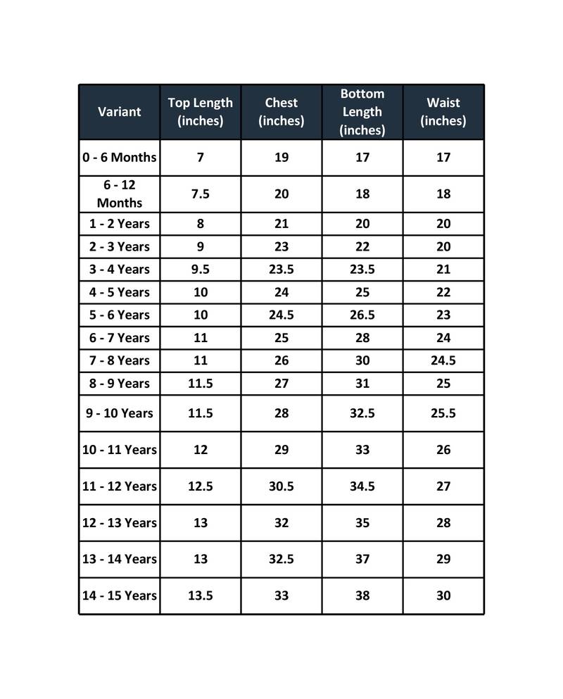 Multicolour Lahnga Choli  