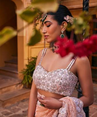 Peach  embroidered saree 4