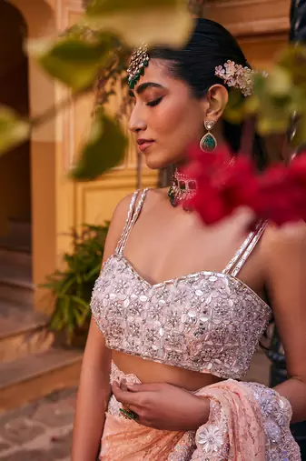 Peach  embroidered saree