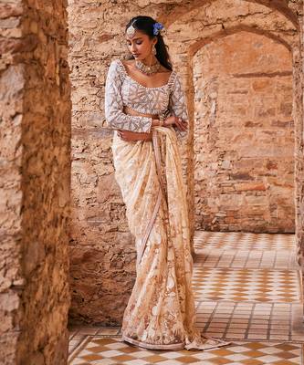 Beige  net embroidered saree 1
